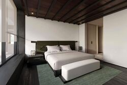 21 Anderson (D10), Condominium #575969751